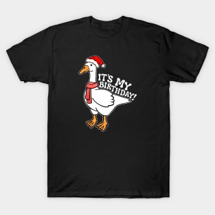 December Birthday Silly Goose T-Shirt